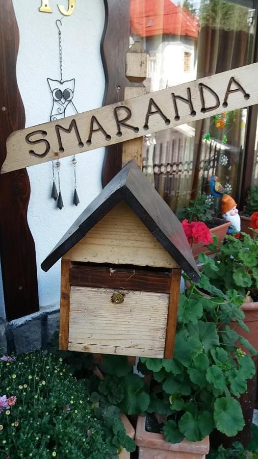 Vila Smaranda Предеал Екстериор снимка
